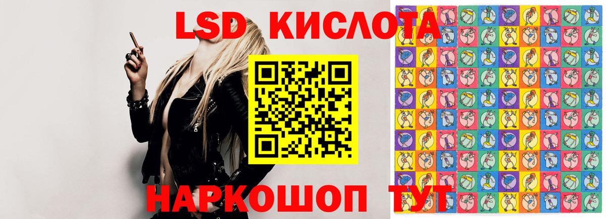 Псилоцибиновые грибы Северобайкальск