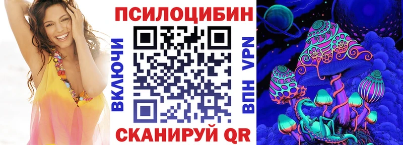 Галлюциногенные грибы Psilocybe где найти Северобайкальск