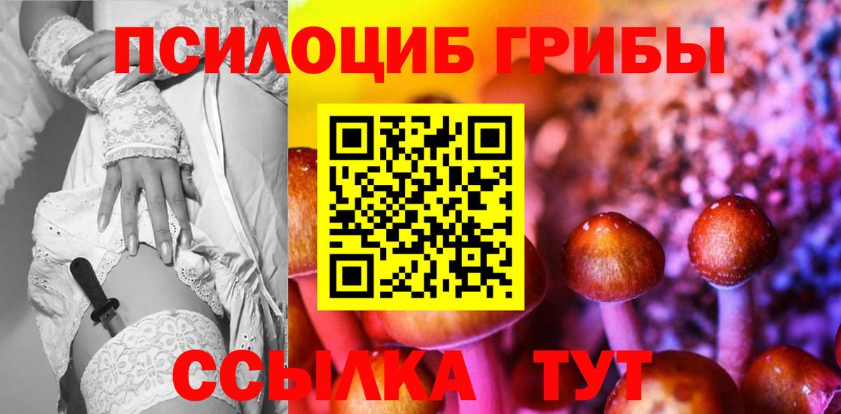 Северобайкальск  Галлюциногенные грибы Cubensis  Вход с VPN 