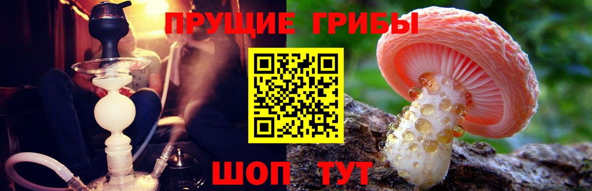 Псилоцибиновые грибы ЛСД Северобайкальск